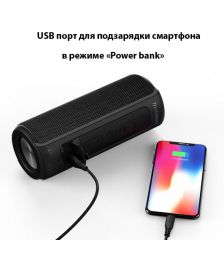 Беспроводная колонка Тронсмарт Т6 плюс